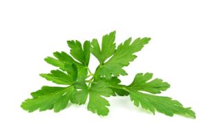 Parsley